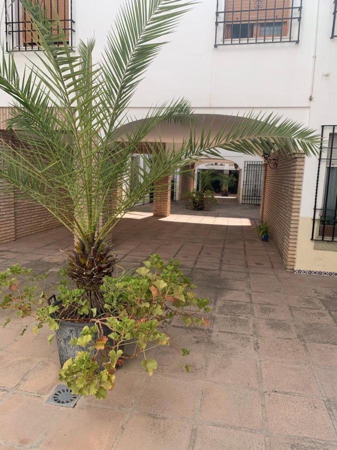 Apartamento A Estrenar A Un Minuto Del Alcazar Διαμέρισμα Κόρδοβα Εξωτερικό φωτογραφία