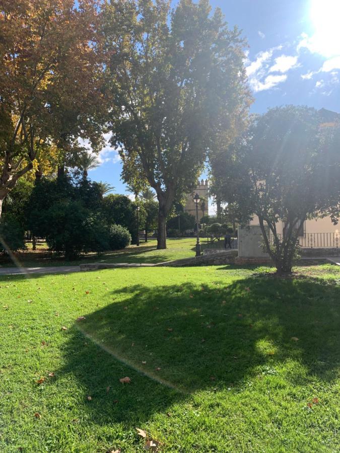 Apartamento A Estrenar A Un Minuto Del Alcazar Διαμέρισμα Κόρδοβα Εξωτερικό φωτογραφία